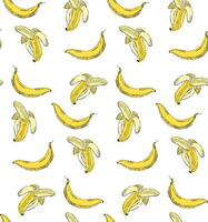 banana seamless pattern for tropical banner design. Banana background. Graphic hand-drawn crayons plantains backdrop. Bananas sketch ornament. vector