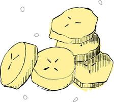 Graphic drawing of chopped banana fruit. Banana slices on white background vector