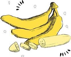 Three bananas with slices forming a composition are isolated on a white background. graphic illustration vector