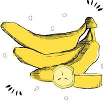 logo for Banana, decorative horizontal poster with outline illustration of 3 whole and sliced bananas composition,graphic design fruity print with chopped banana parts on white background vector