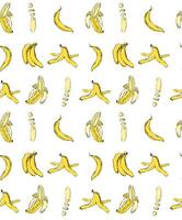 Graphic seamless pattern with full banana and skin and slices. Hand drawn illustration isolated on white background. For wrapping wallpaper fabric textile. vector