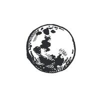 Moon, full moon disk hand drawn with ink and transferred to . Halloween illustration. Suitable for printing in astronomy books, magazines, for postcards and invitations vector