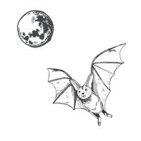 Bat and moon, bat flying under the full moon. All objects are hand-drawn with ink and transferred to . Halloween illustration. Suitable for posters, printing on invitations, postcards vector