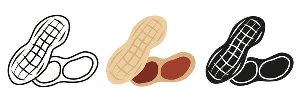Peanut nut. Illustration of peanuts in different styles. Peanut is a nut for your advertising. vector