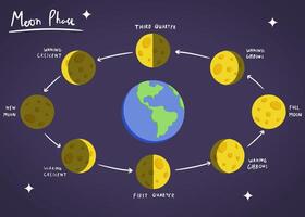 Illustrated diagram of the moon phases around Earth, showing each stage from new moon to full moon, including waxing and waning crescents and gibbous phases. Ideal for educational content on astronomy vector