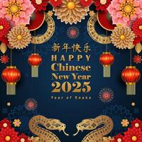 Happy Chinese new year 2025 year of snake with beautiful element background vector
