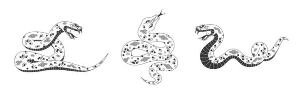 Snake reptiles with chinese ornament set. Black zodiac sign year of the snake 2025 isolated on white background. Editable stroke elements for Chinese lunar New Year design vector