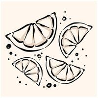 Lemon and lime With illustration style doodle and line art vector
