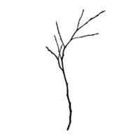 Black Branch trees silhouettes set. Hand drawn isolated illustrations. vector