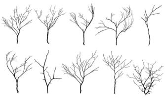Collection of various types silhouette branches. vector