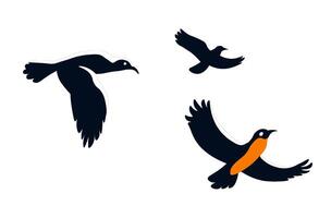 Birds Soaring High In Sky vector