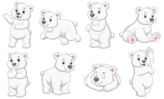 Eight polar bears in different poses on a white background. Suitable for wildlife, conservation, climate change, and Arcticthemed designs vector