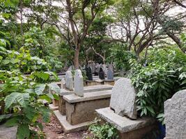 A quiet cemetery scene with rows of weathered tombstones under green trees. Sunlight filters through, casting dappled shadows, creating an air of tranquility and remembrance. photo