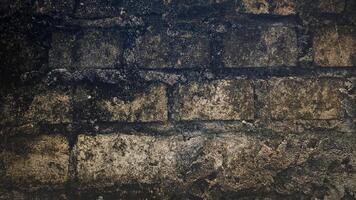 Textured old Wall with Green Moss and Lichen photo