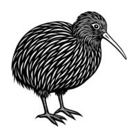 Kiwi bird silhouette illustration on whit background vector