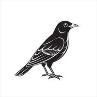 Bird Graphics Illustration With White Background vector