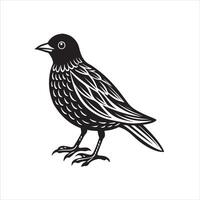 Black and white illustration of a bird with detailed feathers With White Background vector