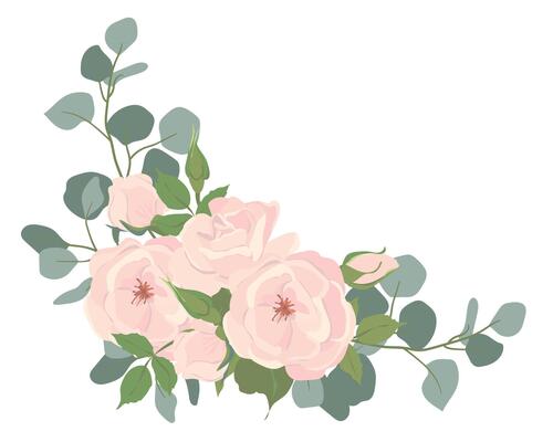 Bouquet of light pink roses and eucalyptus branches. Corner composition of beautiful flowers, buds, leaves isolated on background. floral illustrations in flat style