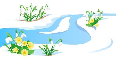 Spring meltwater flow and the first flowers sprouting through the snow. Yellow primroses and white snowdrops. The concept of the arrival of spring and the awakening of nature after winter. vector