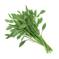A fresh bundle of vibrant green leaves, ideal for culinary or decorative use, symbolizing nature's beauty and simplicity. png
