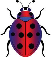ladybug on white background vector