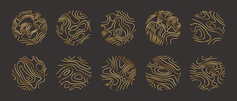 Circular wood rings or topographic map lines texture set. Wood tree topographic abstract lines. vector