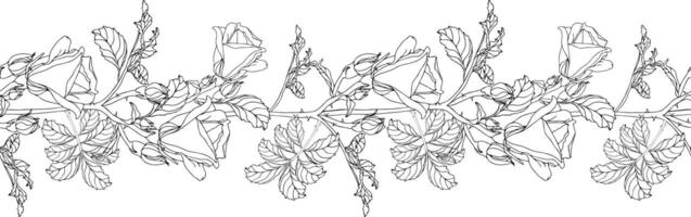 Wild roses flower seamless pattern for design of colorin page vector