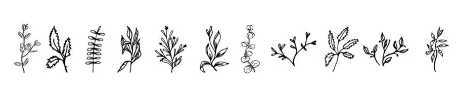 Line art leaves set for design, hand drawn elements vector