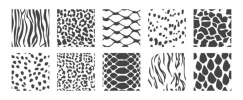 Cartoon Different Black and White Animal Patterns Background Set. vector