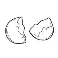 An Empty Open Cracked Egg Shell hand drawn sketch vector