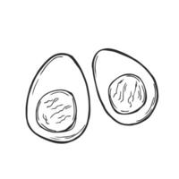 Doodle icon sketch of boiled half sliced eggs. vector