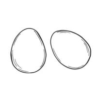 Doodle sketch of chicken eggs in vector