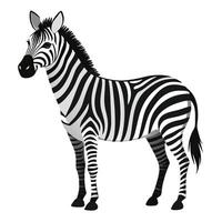 Stylized Zebra Illustration on White Background vector