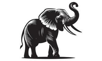 An elephant is standing in front of a white background vector