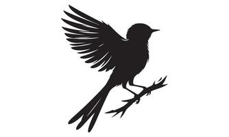 A black silhouette of a bird on a branch vector