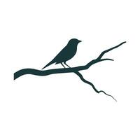 Bird on branch silhouette vector