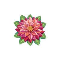 A flower with red and pink petals on a white background vector