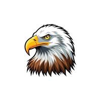 An eagle head on a white background vector