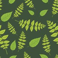 leaf pattern illustration design or leaf wallpaper design with green background leave vector