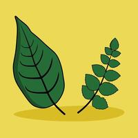 leaf banner design or Hand drawn leaves illustration with green color and yellow background vector