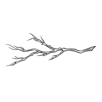 Bare tree branch sketch. graphic line illustration, hand drawn isolated. Black and white doodle of sprig. Forest and park plant, nature concept. Clipart for logo, postcard, sticker, wrapping.