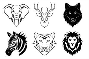 Wild animals head vector