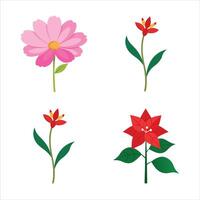 Four different types of flowers are shown vector
