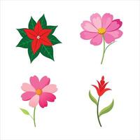 Four different flowers on a white background vector
