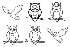 Owls on branches set of illustration vector