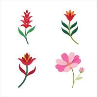 Four different flowers on a white background vector