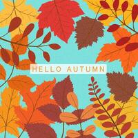 Hello autumn background, with abstract autumn leaves, templates for placards, banners, flyers, presentations, reports, sales, header, cover, social media, fashion ads, decor. vector