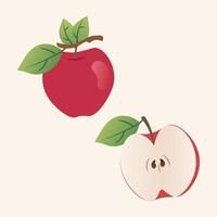 Fresh Apple Fruit Slice And Whole Of Apple illustration vector