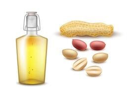 Realistic glass bottle peanut oil with peanut seeds and peanut pods on white background for advertising, web and etc. vector