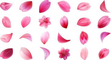 Set of different realistic flowers of sakura flower petals. illustration isolated on white background. vector